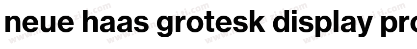 neue haas grotesk display pro 45 Li字体转换